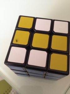ant rubiks cube