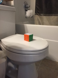 twigs jesse rosner tourist attraction