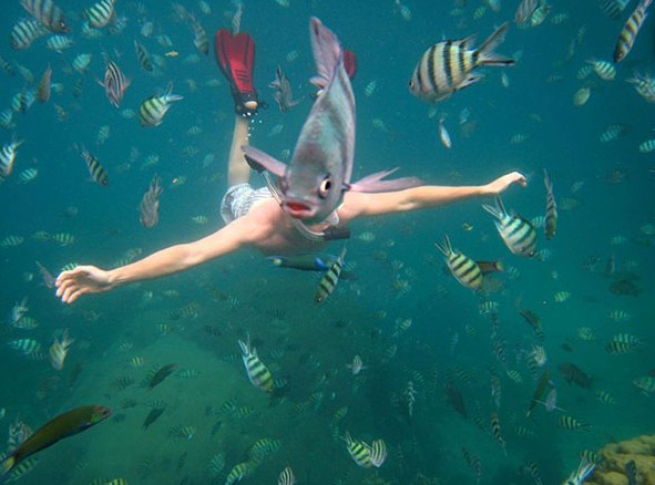 pictures captured in the right moment