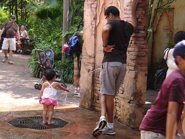 pictures captured in the right moment