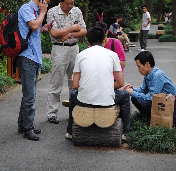 pictures captured in the right moment