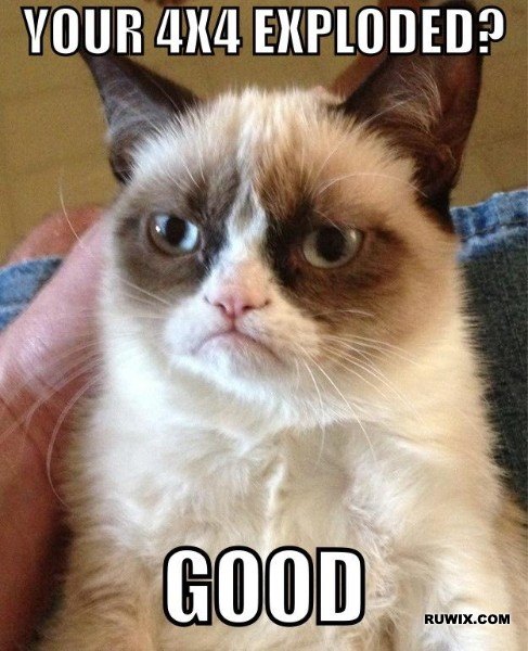 Grumpy Cat 4x4x4 Rubik's Cube