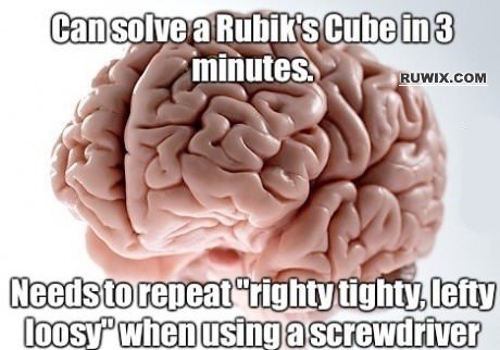 Screwdriver brain