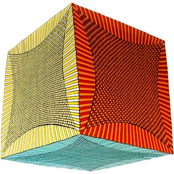 49x49x49 rubik's cube record