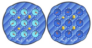 Rubiks Clock puzzle Scrambler and Notation